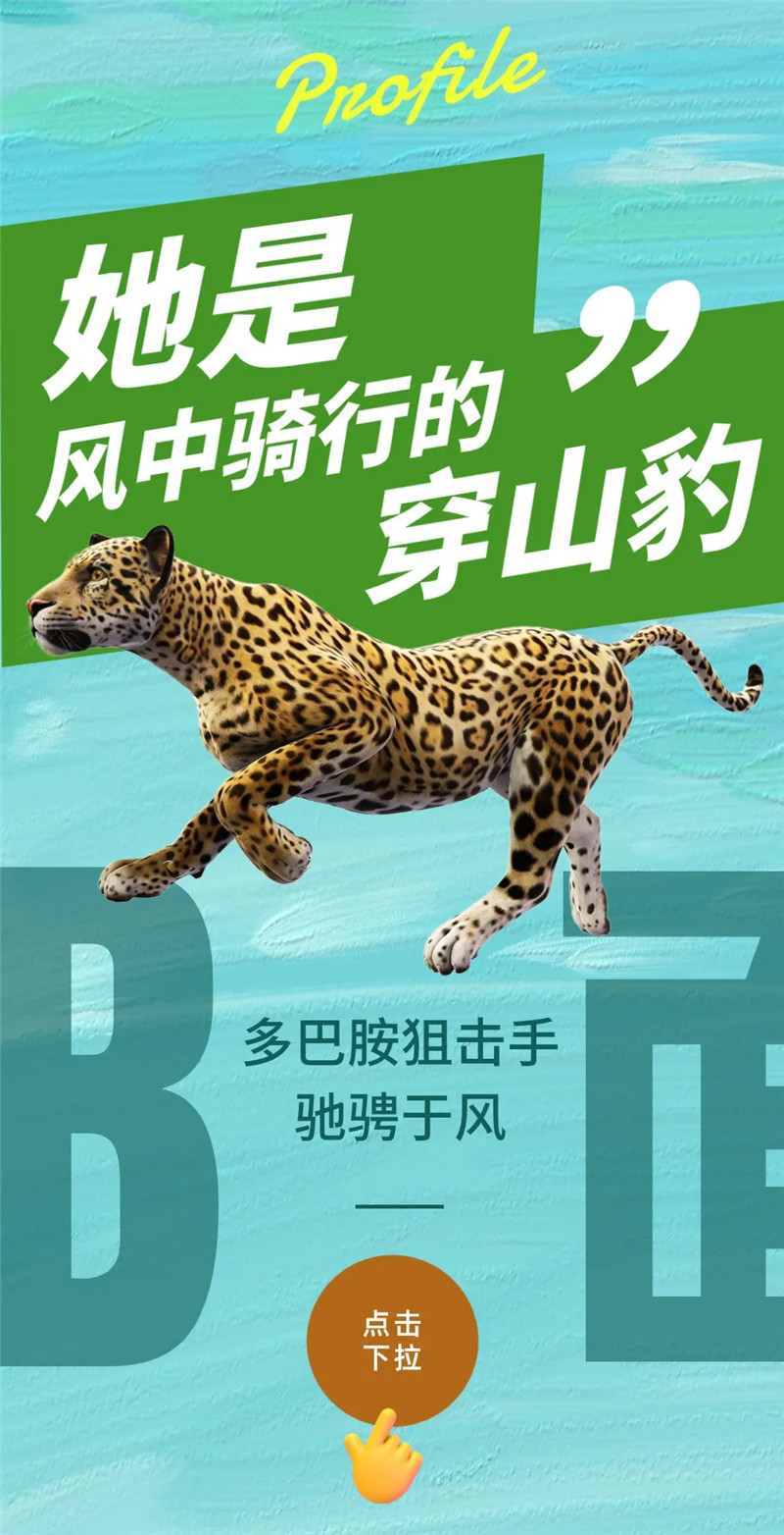 2.webp